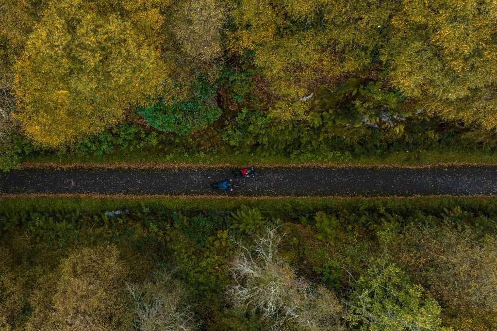 E Bike Hire Glencoe Activites Woodlands5
