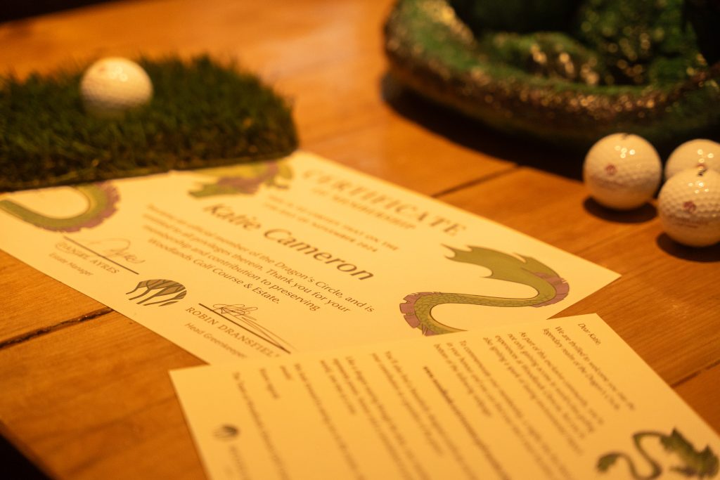 Great glen creative dragons circle 3