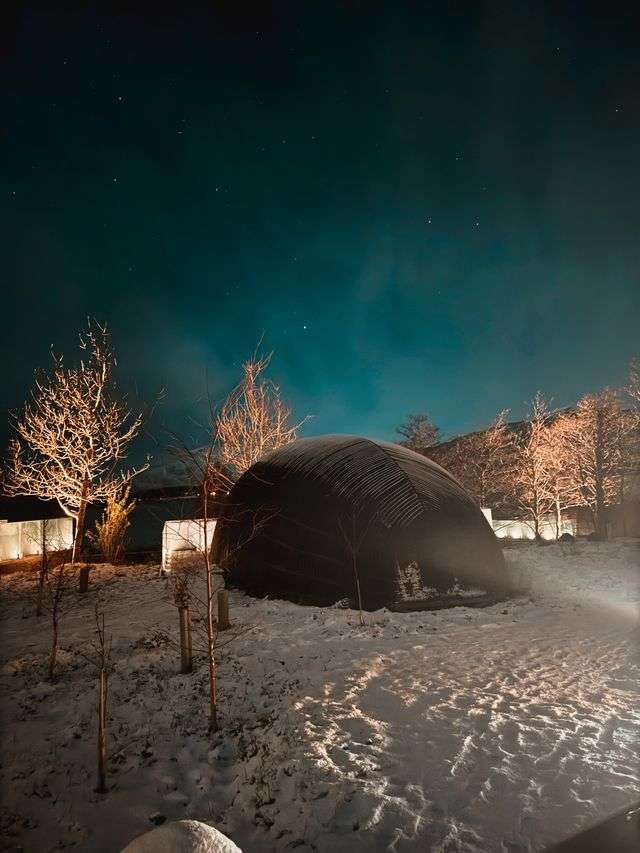 christmas8