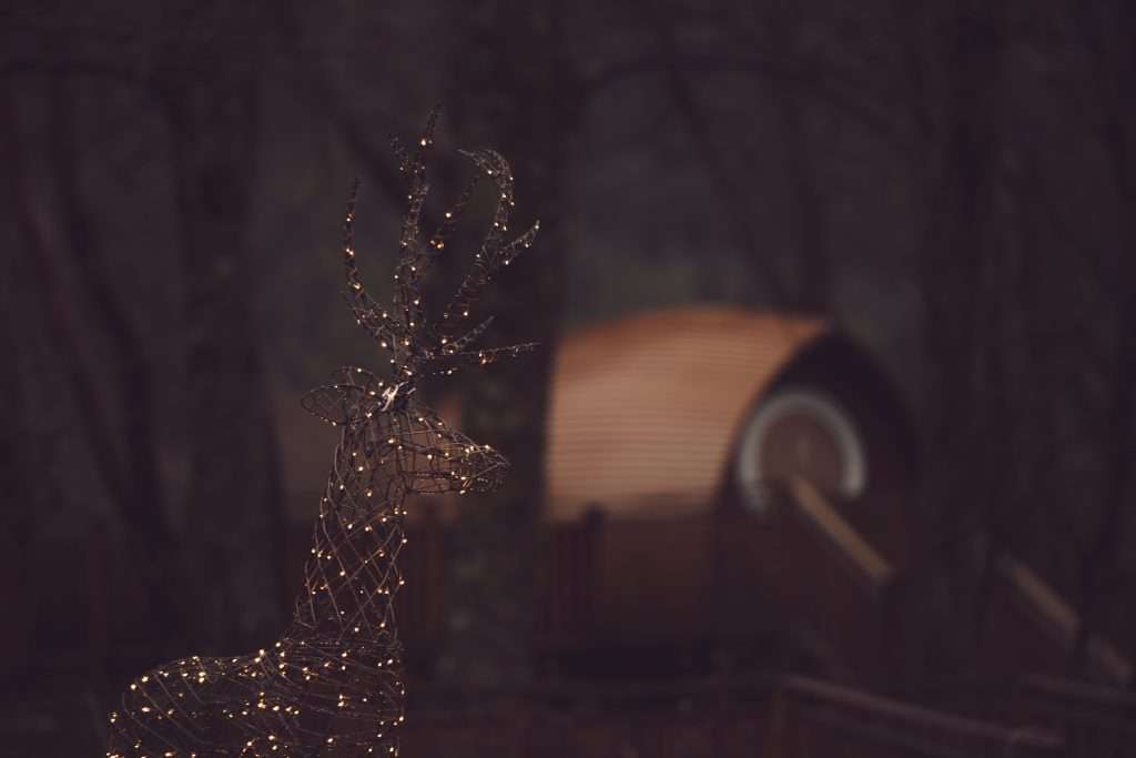 A fairy-lit reindeer sits outside RiverBeds Luxury Wee Lodges at Christmas in Glencoe