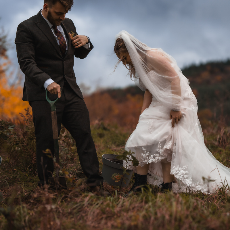 A couple plant a tree to celebrate their wedding day at Woodlands Glencoe.